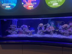 -洛阳龙门海洋馆