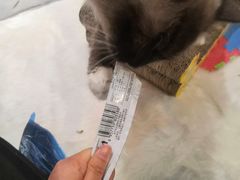 -万小咖.猫咖(中山路天虹店)