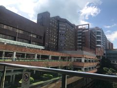 -香港大学