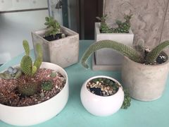 -蜜蜂小象·榴莲千层蛋糕(时代汇11栋店)