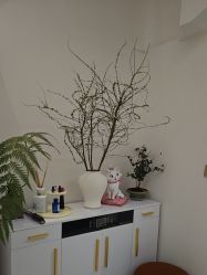 -WENDY·温迪皮肤管理