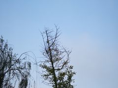 -白鹭湾湿地公园