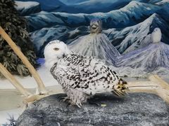 -北京野生动物园