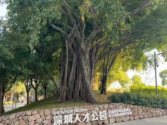 -深圳人才公园