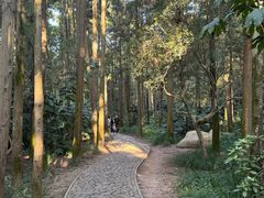 -狼山风景名胜区