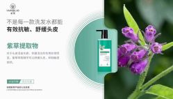 -东方美妍小鹏造型
