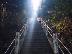 -江西阳明山国家森林公园