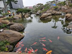 -罗红摄影艺术馆