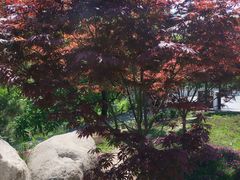 -秦岭终南山世界地质公园翠华山景区