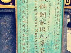 -西双版纳傣族园