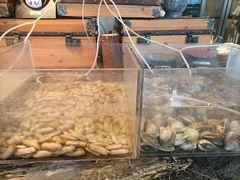 -索菲特酒店 · 云尚天际自助餐厅