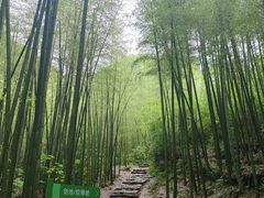 -莫干山风景区