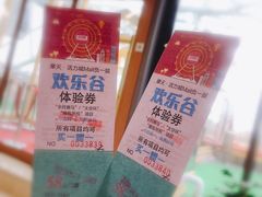 -摩天活力城·摩天轮