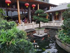 -顺德了能馆(虎门店)