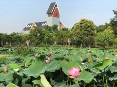-美兰湖景区