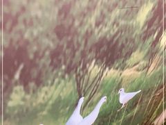 -宝兴源记手撕鸡(第88分店)