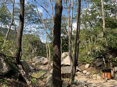 -大岭沟猕猴桃谷风景区