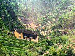 -田小狗的饭店(碧桂园店)