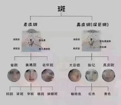 点击看大图 -香薇妮丝女子减肥院