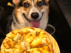 -百好乐宠物友好餐厅(朝外大街店)