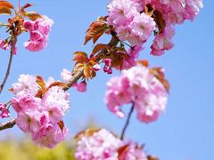 -渭河城市绿地运动公园