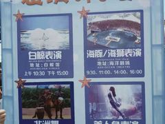 -秦皇岛乐岛海洋王国