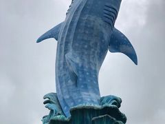 -珠海长隆海洋王国