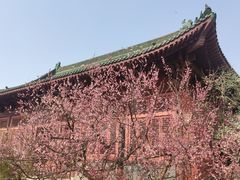 -开封府