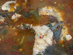 android_upload_pic-风鑫铃罗非鱼(道沟店)