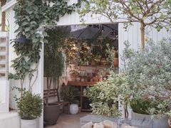 -自由生长植物工作室(深港花卉中心店)