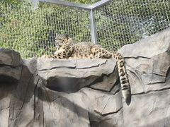 -青藏高原野生动物园