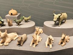 -广西壮族自治区博物馆