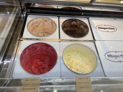 -哈根达斯(大洋百货店)