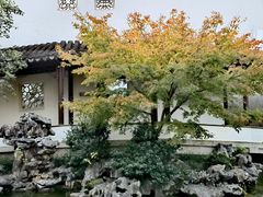 -秋霞圃