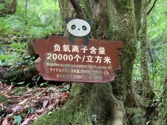 -西岭雪山大飞水景区
