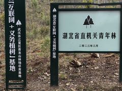 -青龙山国家森林公园