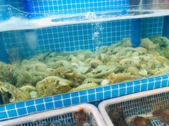 水产区-老东镇啤酒屋海鲜加工·蒸汽海鲜·海鲜烧烤(台东店)