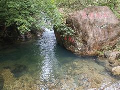 -银瓶嘴森林公园