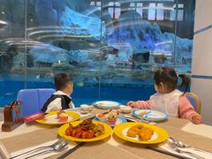 -帝企鹅自助餐厅•儿童岛•真企鹅(长隆企鹅酒店)