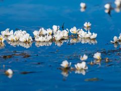 -丽江泸沽湖景区