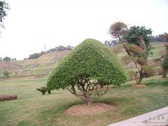-南宁国际会展中心