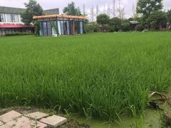 -洪湖家庭农场·团建·露营·会议