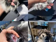 -听TA说宠咖·宠物生活馆(天韵水岸店)