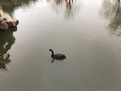 -水绘园