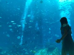 -亚特兰蒂斯•OSSIANO奥西亚诺海底餐厅