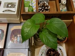 -猫的天空之城概念书店(印象城购物中心店)