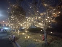 -锦江乐园舞狸花花游园会(夜场专享)
