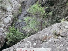 -雁荡山三折瀑景区