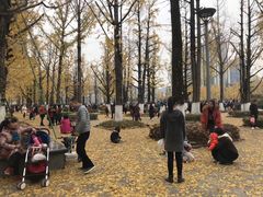 -百林公园-两江幸福广场