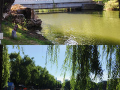 -万泉公园